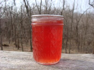 Awesome Apple Offerings, Plus an Heirloom Crab Apple Jelly Recipe Image